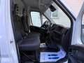 Fiat Ducato 33 2.2 Mjt 140CV PM-TM Furgone + IVA Blanc - thumbnail 9