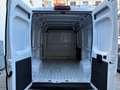 Fiat Ducato 33 2.2 Mjt 140CV PM-TM Furgone + IVA Blanc - thumbnail 15