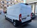 Fiat Ducato 33 2.2 Mjt 140CV PM-TM Furgone + IVA Blanc - thumbnail 7