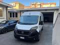 Fiat Ducato 33 2.2 Mjt 140CV PM-TM Furgone + IVA Blanc - thumbnail 3