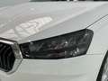 Skoda Fabia 1.0 TSI Ambition 81kW Blanco - thumbnail 12