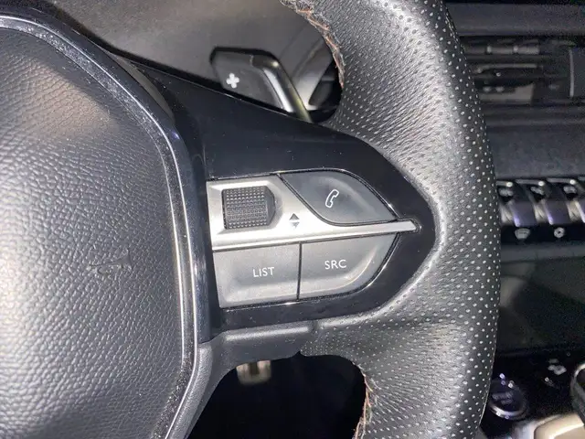 Peugeot 3008 view 13