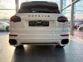 Porsche Cayenne Turbo/PCCB/Panodach/Burmester/Voll! Weiß - thumbnail 5