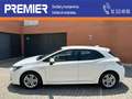 Toyota Corolla 1.8 125H ACTIVE E-CVT Weiß - thumbnail 1