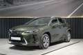 Lexus UX 300e Executive Verde - thumbnail 15