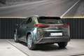 Lexus UX 300e Executive Verde - thumbnail 10