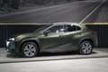 Lexus UX 300e Executive Verde - thumbnail 13