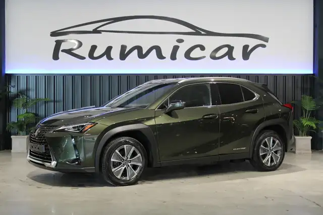 Lexus UX 300e Executive