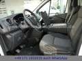 Renault Trafic Kasten dCi 145 L1H1 3,0t Komfort Weiß - thumbnail 28