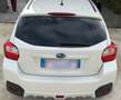 Subaru XV 1.6 Free Comfort, CON RIDOTTE Bianco - thumbnail 5