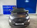 Ford EcoSport Ecosport Titanium 1.0 EcoBoost 125PS WinterPaket Grau - thumbnail 2