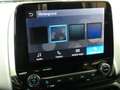 Ford EcoSport Ecosport Titanium 1.0 EcoBoost 125PS WinterPaket Grau - thumbnail 18