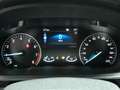 Ford EcoSport Ecosport Titanium 1.0 EcoBoost 125PS WinterPaket Grau - thumbnail 19