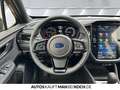 Subaru Forester 2.0ie Exclusive LED NAV SH CAM ALLRAD Bronze - thumbnail 11