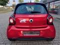 smart forFour passion Rot - thumbnail 6