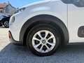 Citroen C3 BlueHDi 100 S&S Shine 1. Besitz Weiß - thumbnail 9