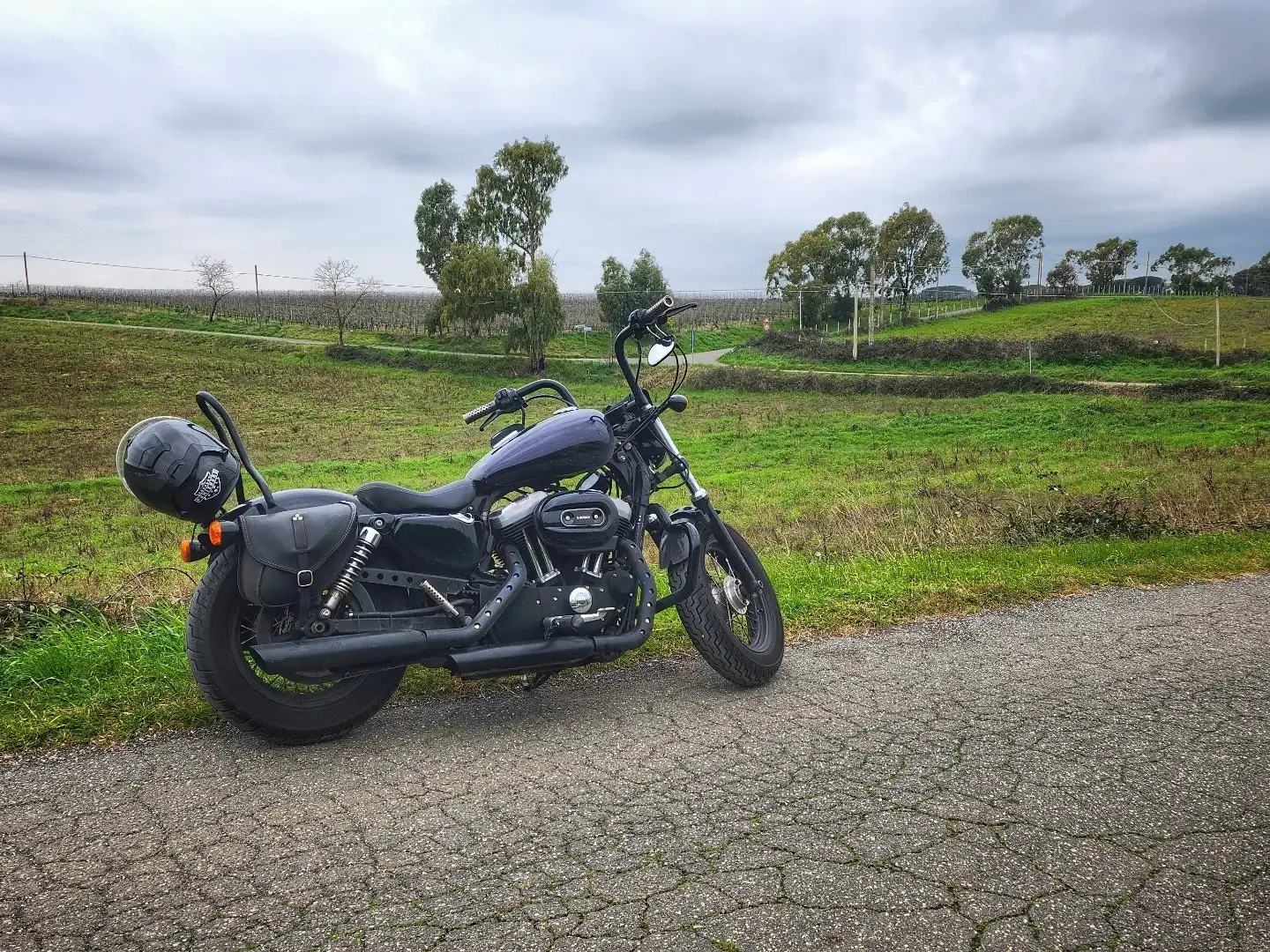 Harley-Davidson Sportster Forty Eight Srebrny - 1