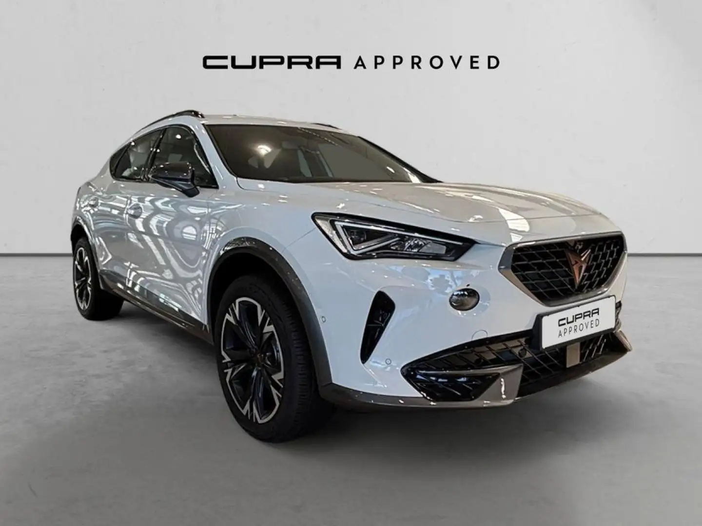 CUPRA Formentor 2.0 TSI 190 DSG 4Drive - 1