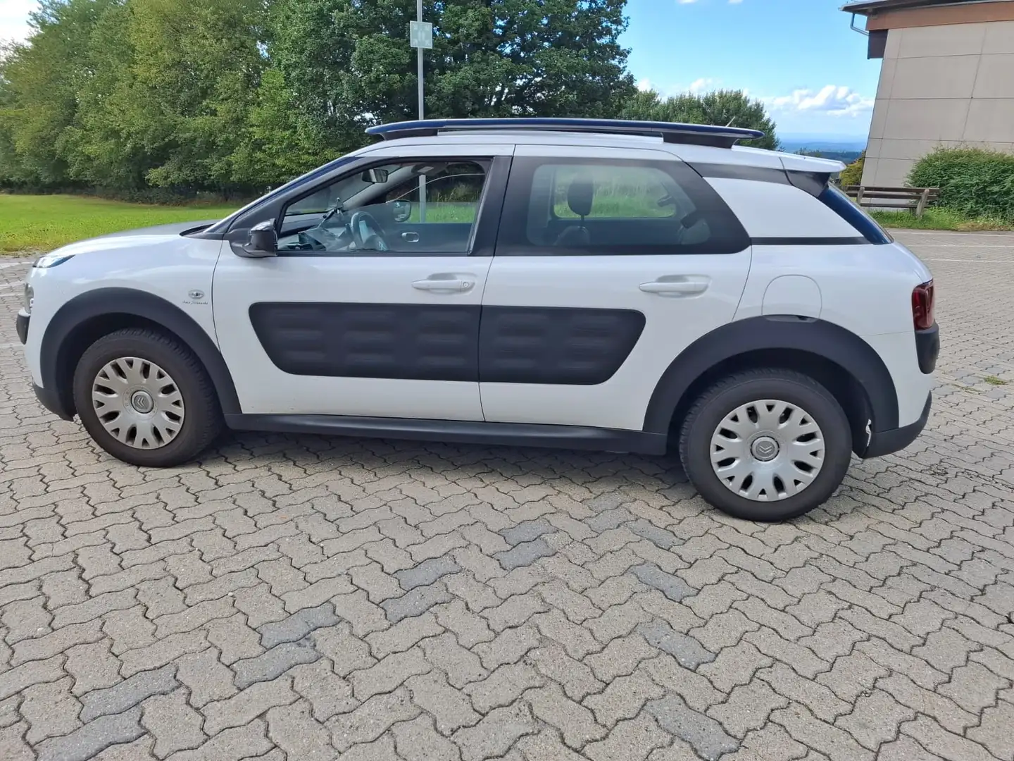 Citroen C4 Cactus PureTech 82 Selection - 1