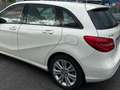 Mercedes-Benz B 180 B 180 cdi Automatic Executive Bianco - thumbnail 3