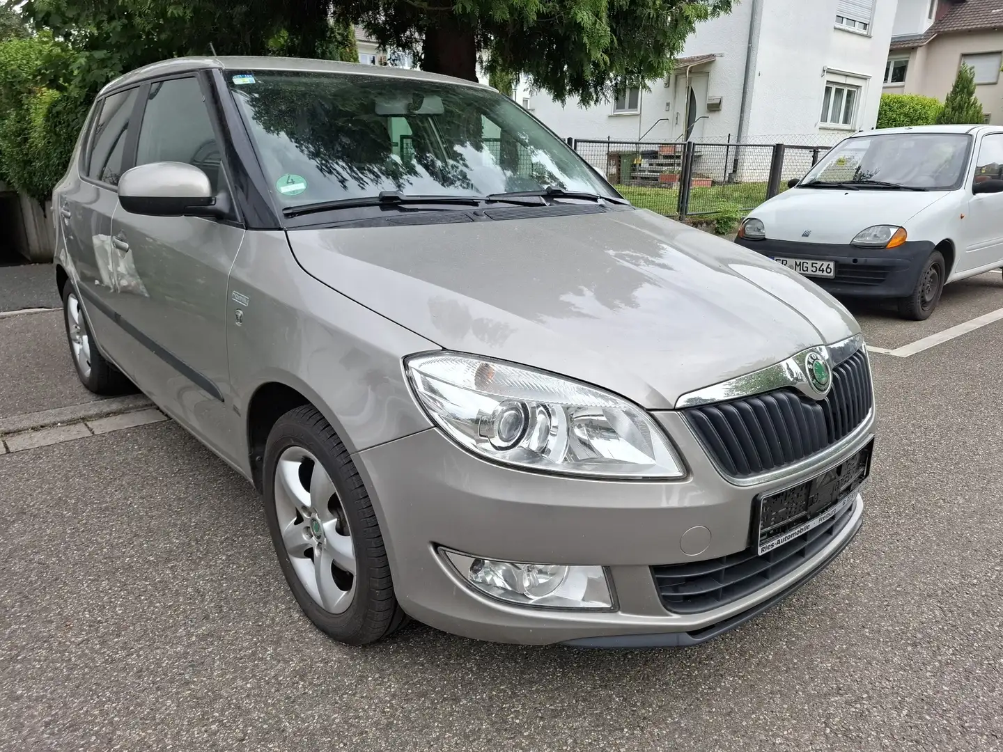 Skoda Fabia 1.2 TSI FAMILY Green tec Szary - 2