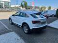 Audi Q5 Sportback SPB 40 2.0 tdi mhev 12V quattro s-tronic Bianco - thumbnail 6