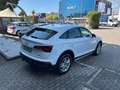Audi Q5 Sportback SPB 40 2.0 tdi mhev 12V quattro s-tronic Bianco - thumbnail 4