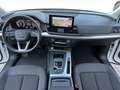 Audi Q5 Sportback SPB 40 2.0 tdi mhev 12V quattro s-tronic Bianco - thumbnail 10