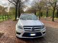 Mercedes-Benz GL 350 Bluetec Premium 4 Matic - 7 Posti Stříbrná - thumbnail 4