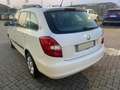 Skoda Fabia 1.4 tdi 70cv  *OK NEOPATENTATI* Weiß - thumbnail 3