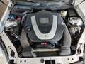 Mercedes-Benz SLK 350 Auto Sensori Clima Cerchi 17 Iscritta ASI Argent - thumbnail 38