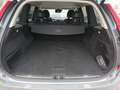 Volvo XC90 D5 Momentum 7pl. AWD 235 Aut. Gris - thumbnail 11