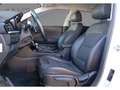Kia Niro 1.6 HEV Drive - thumbnail 12