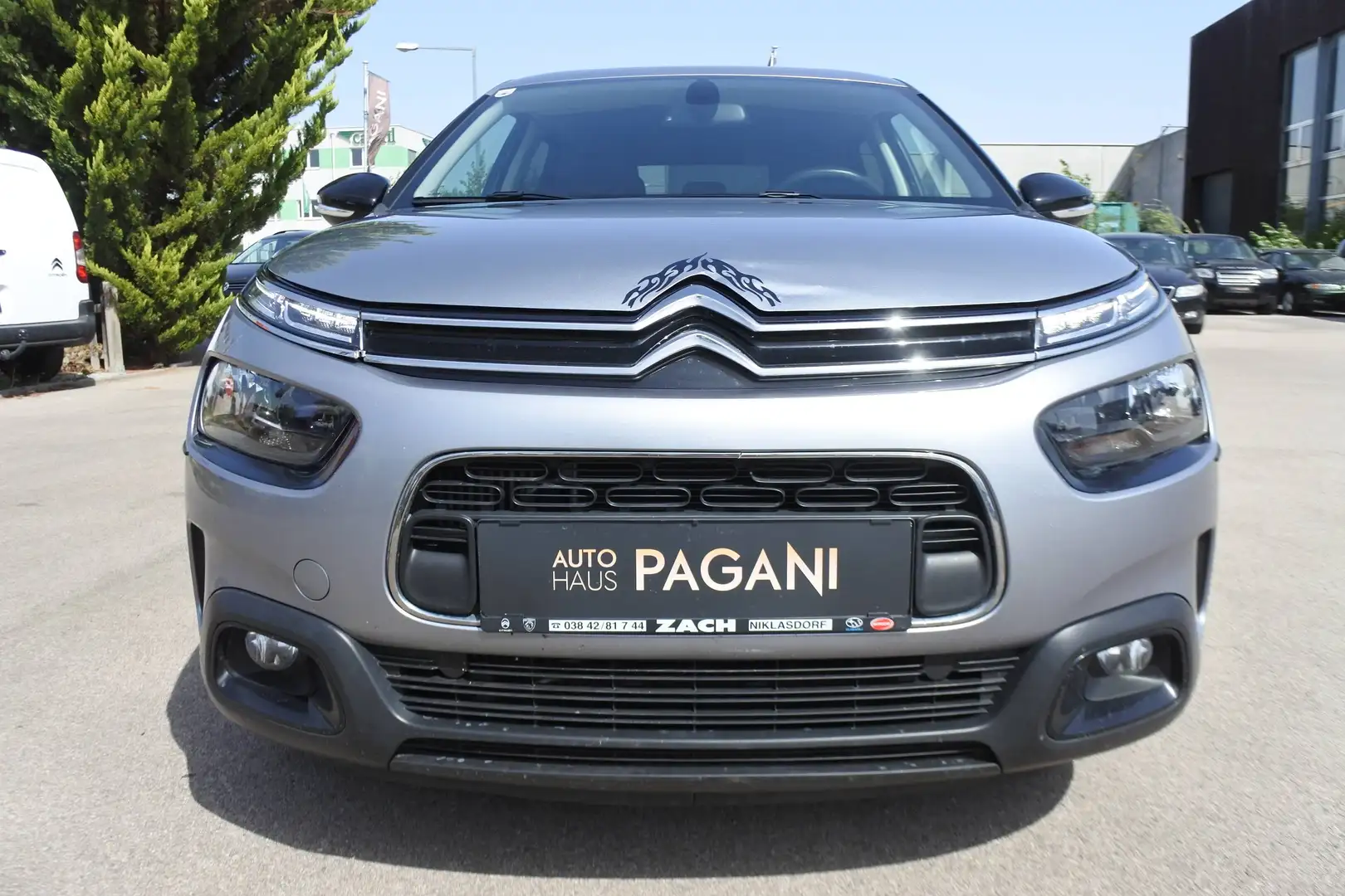 Citroen C4 Cactus C4 Cactus 110 Shine Automatik- GELEGENHEIT Grau - 2