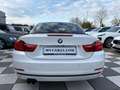 BMW 435 d xDrive M Sport-Line+Standhzg.+LED+Kam.+HUD Weiß - thumbnail 8