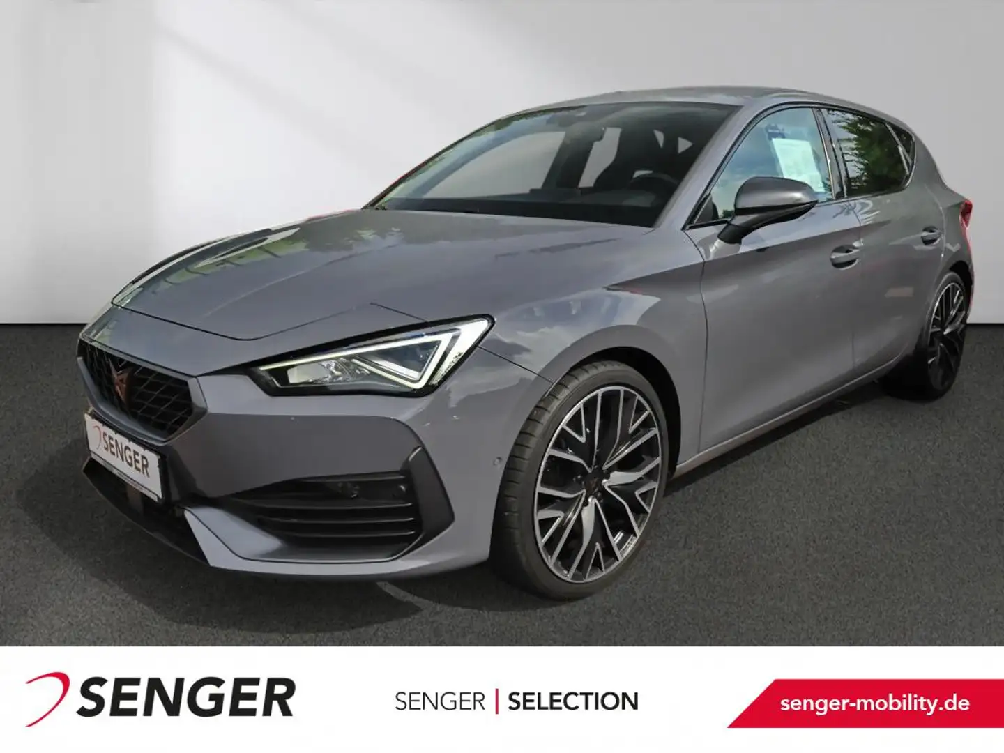CUPRA Leon 2.0 TSI DSG Navi Beats LED PDC ACC Memory Grau - 1