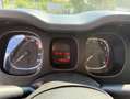 Fiat Panda III 2021 1.0 firefly hybrid s , Unico proprietario Oranje - thumbnail 6