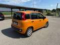 Fiat Panda III 2021 1.0 firefly hybrid s , Unico proprietario Oranje - thumbnail 3