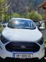 Ford EcoSport EcoSport 1,0 EcoBoost ST-Line ST-Line Weiß - thumbnail 10