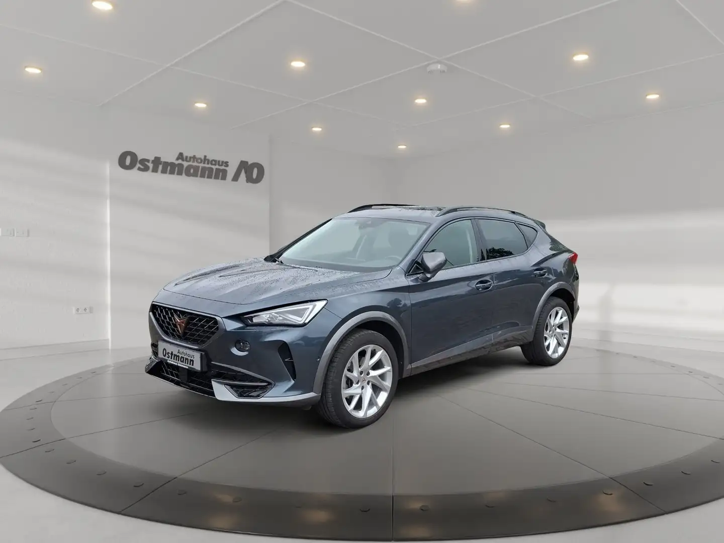 CUPRA Formentor 1.5 TSI AHK ACC LED SHZ 18'' Climatr. Grau - 1