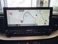 Kia ProCeed / pro_cee'd ProCeed GT/1.HAND/SCHECKHEFT/NAVI/KLIMA Grau - thumbnail 18