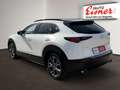 Mazda CX-30 X186 AT GT SO AHK! Remusauspuff Weiß - thumbnail 12