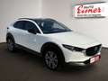 Mazda CX-30 X186 AT GT SO AHK! Remusauspuff Weiß - thumbnail 16