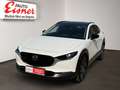 Mazda CX-30 X186 AT GT SO AHK! Remusauspuff Weiß - thumbnail 2