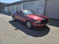 Ford Mustang GT Coupé Rot - thumbnail 7