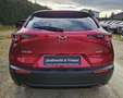 Mazda CX-30 2.5 e-SKYACTIV G 140 6AT Homura Rot - thumbnail 12
