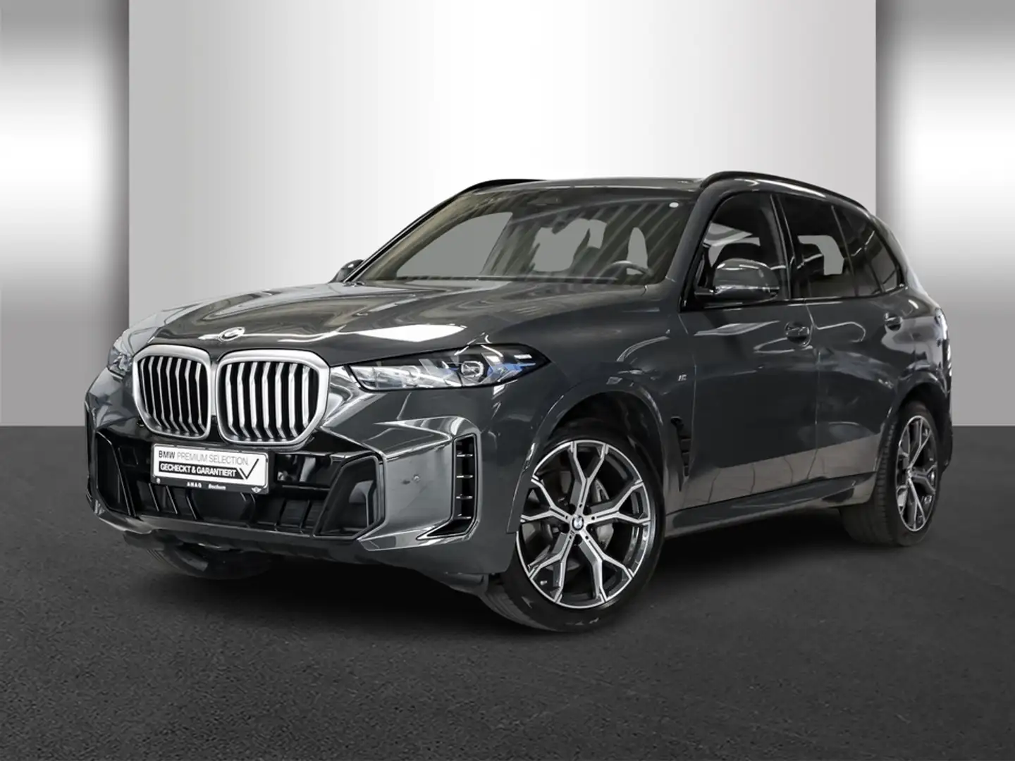 BMW X5 xDrive40i M Sportpaket UPE 126TEuro AHK Standhe Grau - 2
