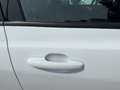 Ford Focus Turnier ST 5Jahre Garantie+ 3 Inspekt inkl Bianco - thumbnail 24