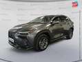 Lexus NX 450h+ 450h+ Luxe 4WD Grau - thumbnail 1