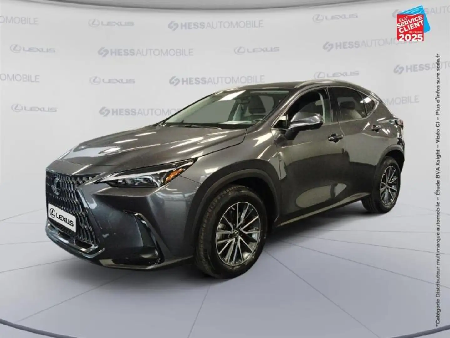 Lexus NX 450h+ 450h+ Luxe 4WD Grau - 1